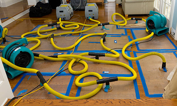 Professional Structural Drying And Dehumidification technician working in Lincolnshire, IL